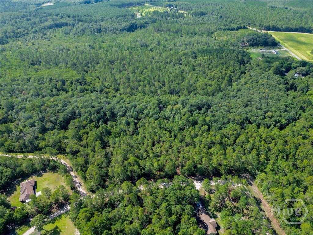 Photo of 0 Davis Court, Hinesville, GA 31313 (MLS # SA360448)