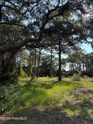 308 N FODALE AVE, SOUTHPORT, NC 28461 - Image 2c1eaf9d8bf2ef9bb4b16247da8c66f8/3162621136