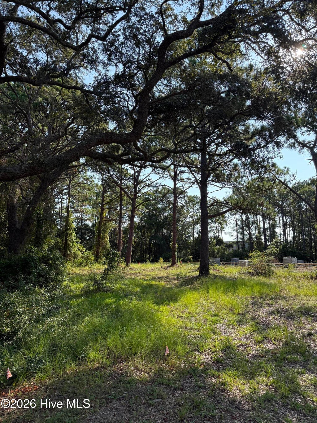 Photo of 308 N Fodale Avenue, Southport, NC 28461 (MLS # 100600617)