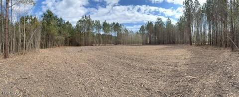 Clearing 2 lot #9