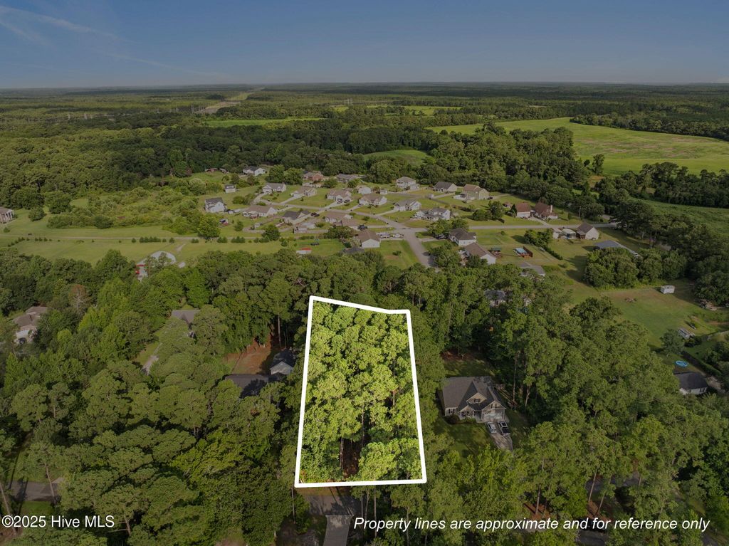 Photo of 5257 Walden Court SE, Southport, NC 28461 (MLS # 100590822)