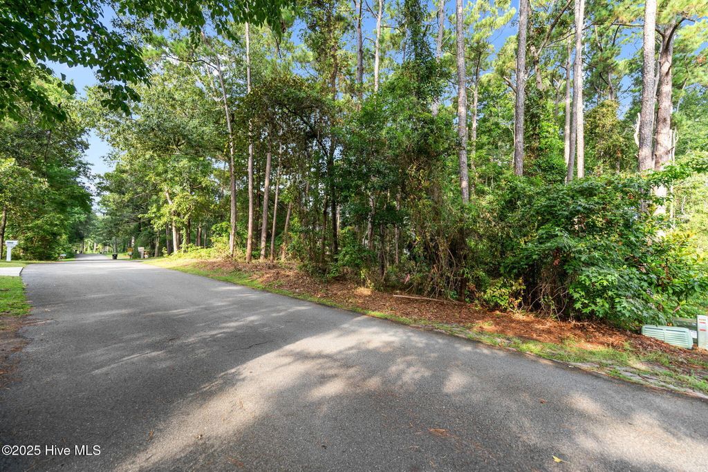 Photo of 5257 Walden Court SE, Southport, NC 28461 (MLS # 100590822)