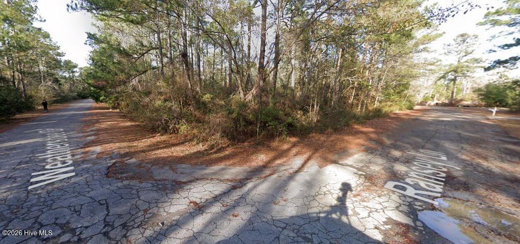 Photo of 269 Weathersbee Drive, Hampstead, NC 28443 (MLS # 100576134)