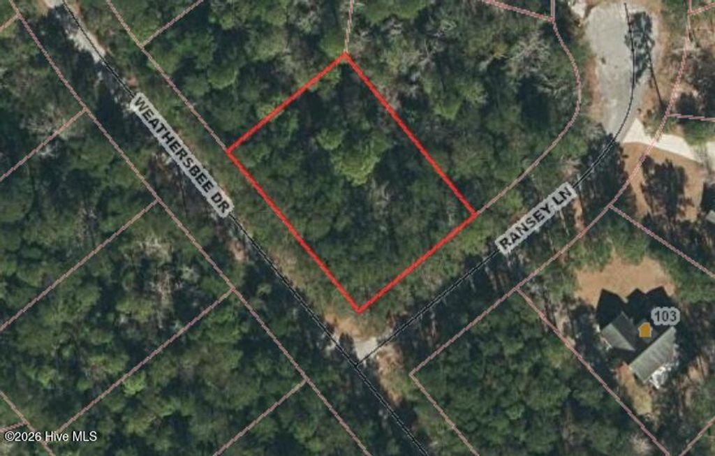 Photo of 269 Weathersbee Drive, Hampstead, NC 28443 (MLS # 100576134)