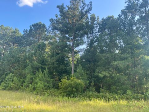 Vacant Land For Sale - 61 Arant Farm Road<br/> Merritt, NC 28556