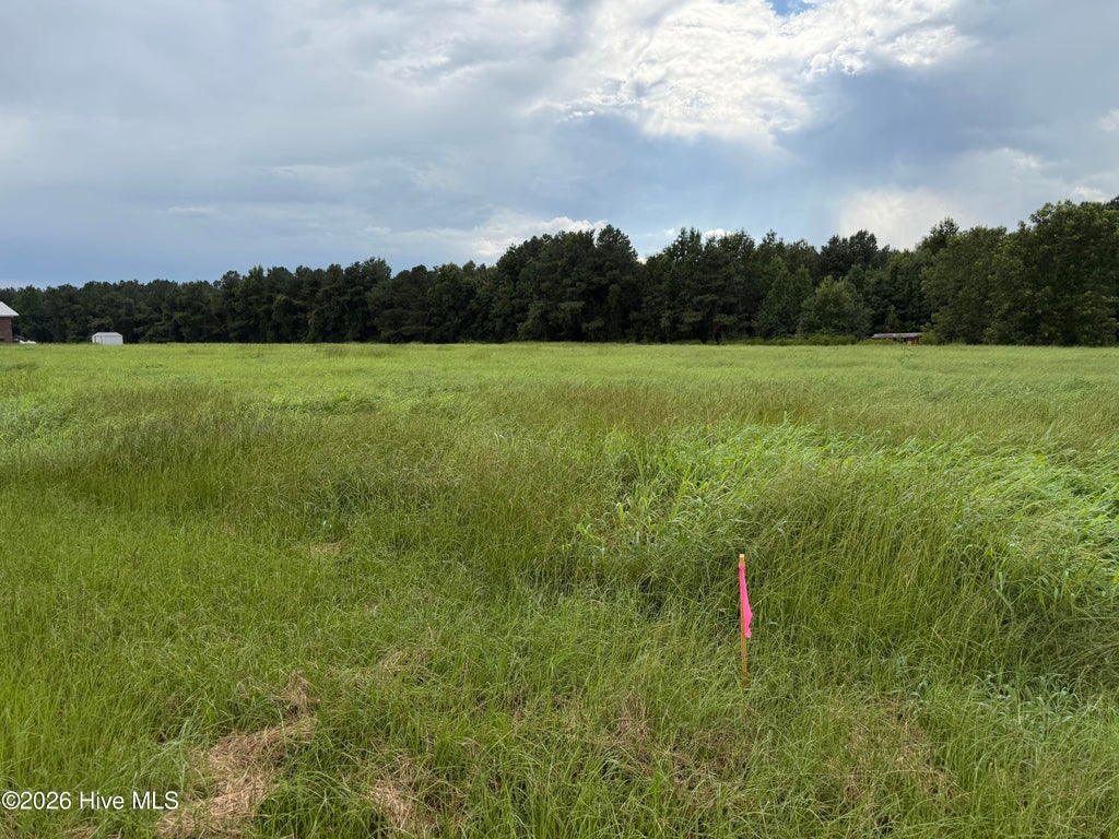 Photo of 0 Mills Road, Goldsboro, NC 27530 (MLS # 100596094)