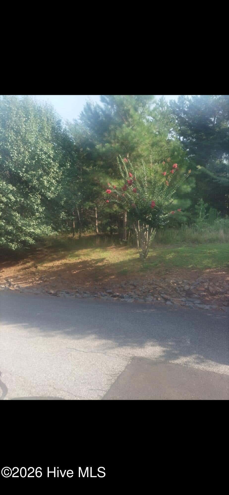 Photo of 3 Dasali Way, Murphy, NC 28906 (MLS # 100596882)