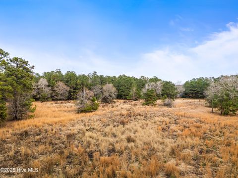 Tiny photo for 4601 Northwest Road NE, Leland, NC 28451 (MLS # 100546785)