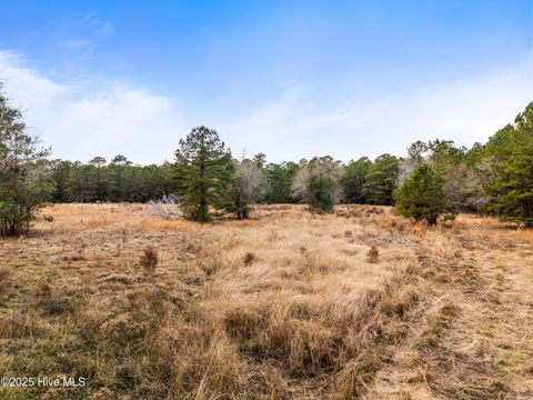 Tiny photo for 4601 Northwest Road NE, Leland, NC 28451 (MLS # 100546785)