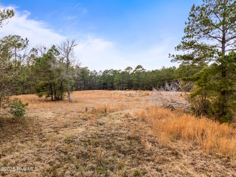 Tiny photo for 4601 Northwest Road NE, Leland, NC 28451 (MLS # 100546785)