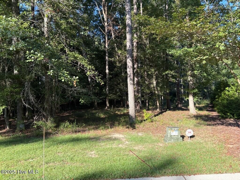 Photo of 707 Sonata Drive SE, Bolivia, NC 28422 (MLS # 100527669)