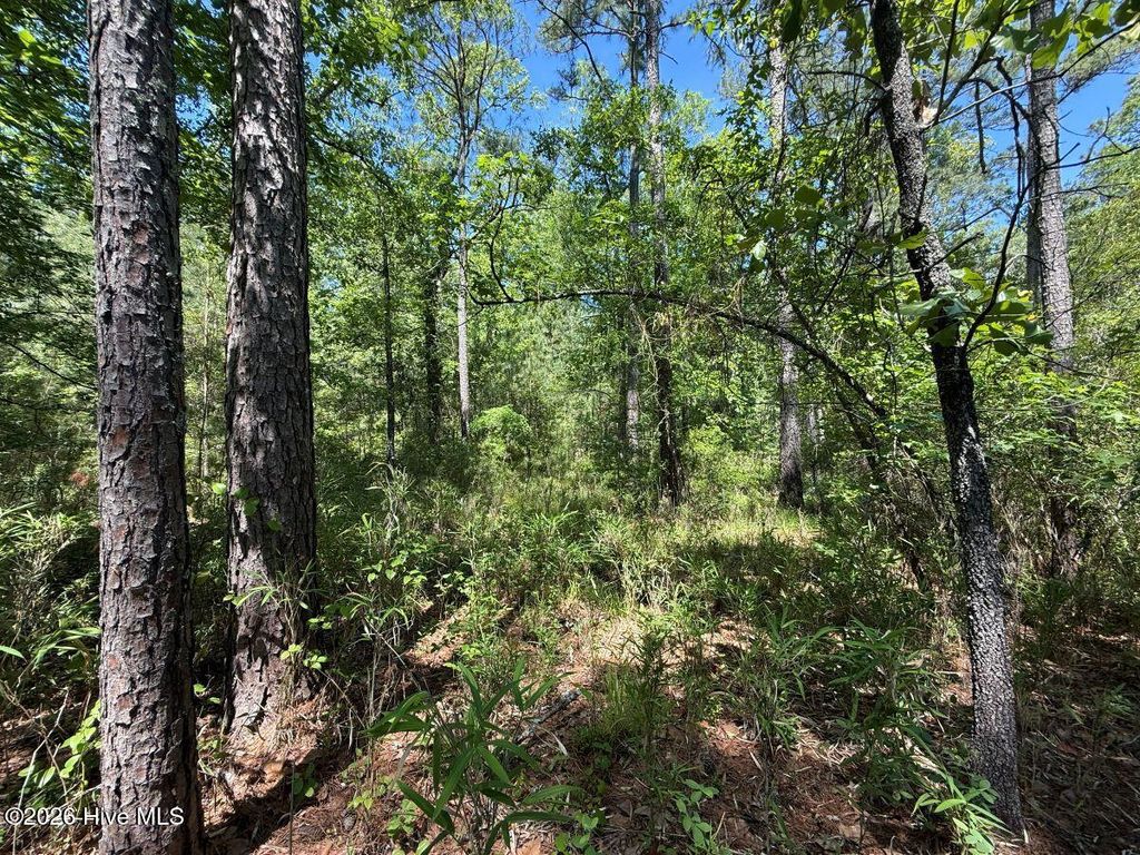 Photo of 27 Sunset Point, Belhaven, NC 27810 (MLS # 100572451)