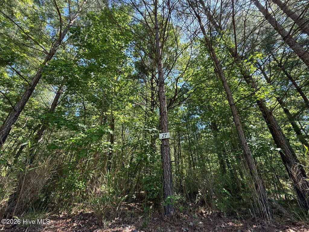 Photo of 27 Sunset Point, Belhaven, NC 27810 (MLS # 100572451)