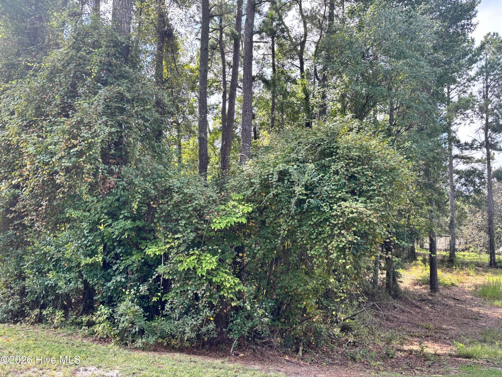 Photo of 16 Point Caswell Road, Atkinson, NC 28421 (MLS # 100606665)