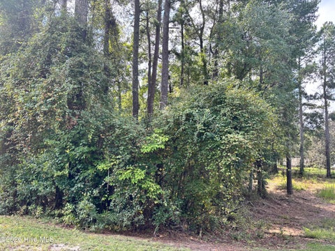Photo of 16 Point Caswell Road, Atkinson, NC 28421 (MLS # 100606665)
