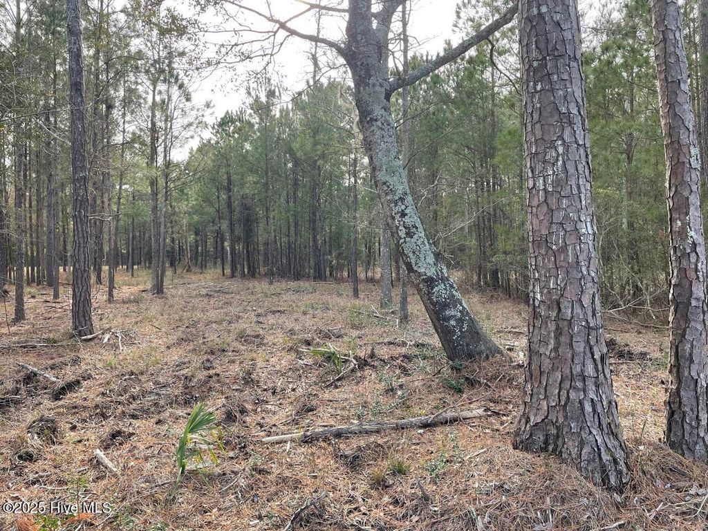 Photo of 257 Garbacon Drive Drive, Beaufort, NC 28516 (MLS # 100505415)