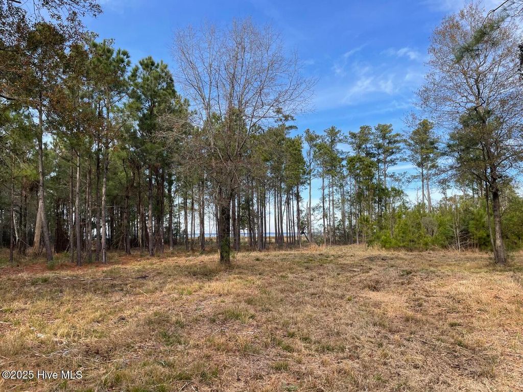 Photo of 257 Garbacon Drive Drive, Beaufort, NC 28516 (MLS # 100505415)