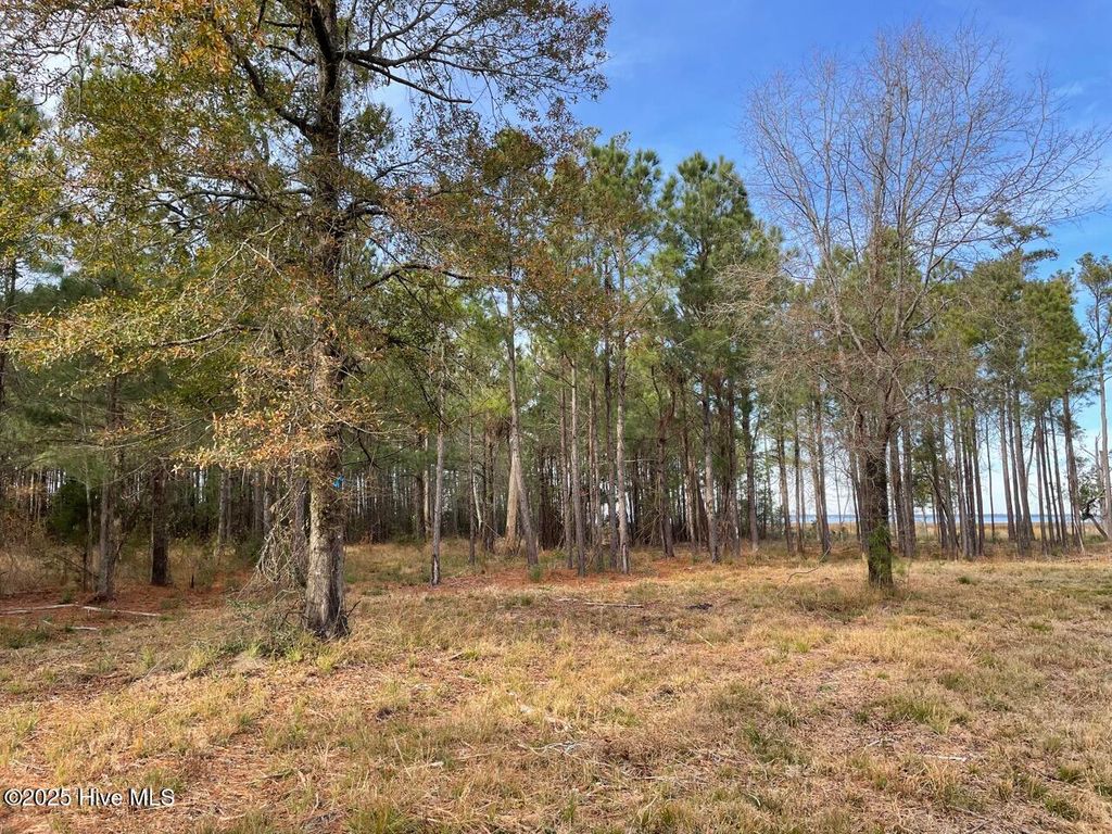 Photo of 257 Garbacon Drive Drive, Beaufort, NC 28516 (MLS # 100505415)