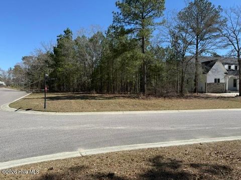Photo of 3702 Little Berry Place NE, Leland, NC 28451 (MLS # 100575060)