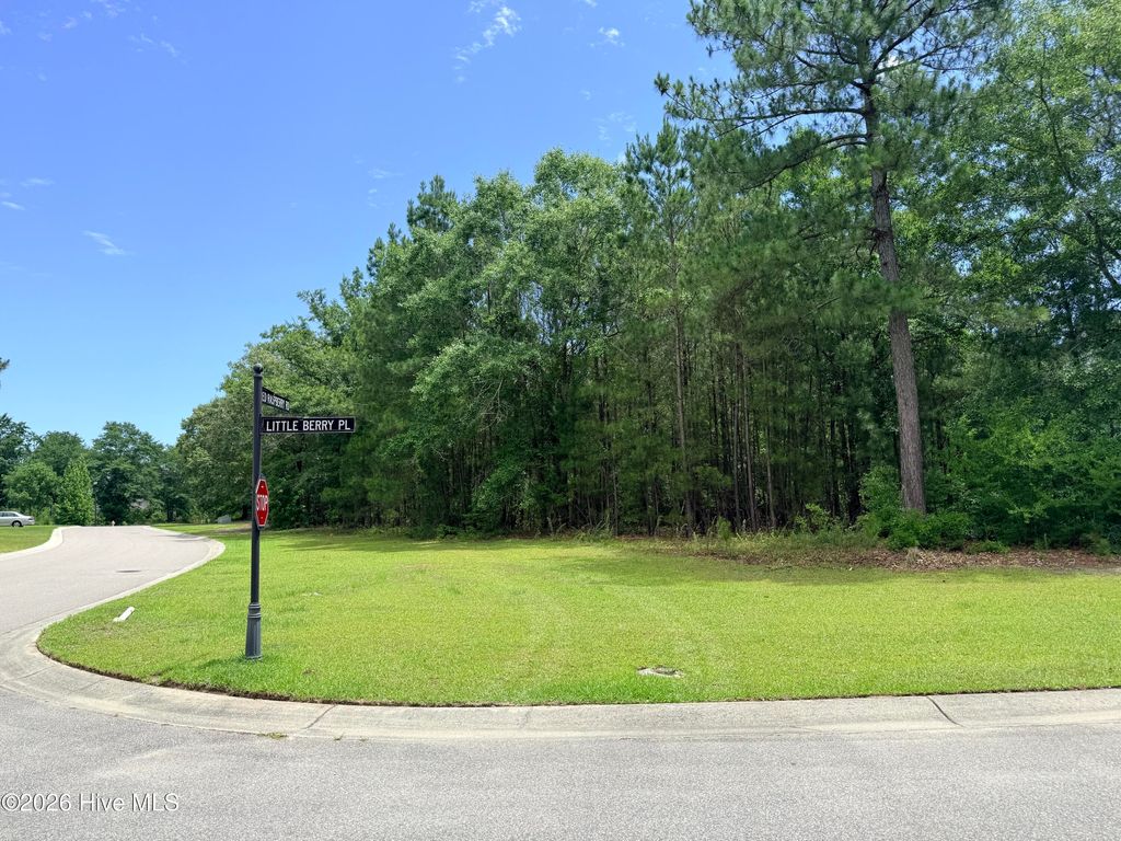 Photo of 3702 Little Berry Place NE, Leland, NC 28451 (MLS # 100575060)