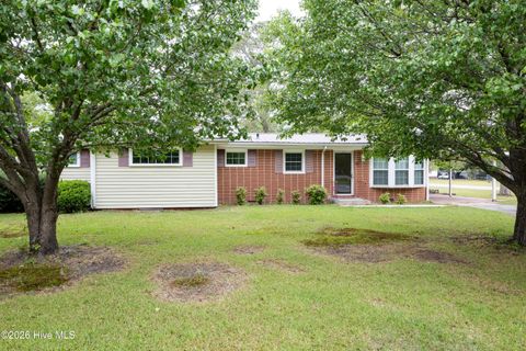 Homes For Sale - 321 N Church Avenue<br/> Garland, NC 28441