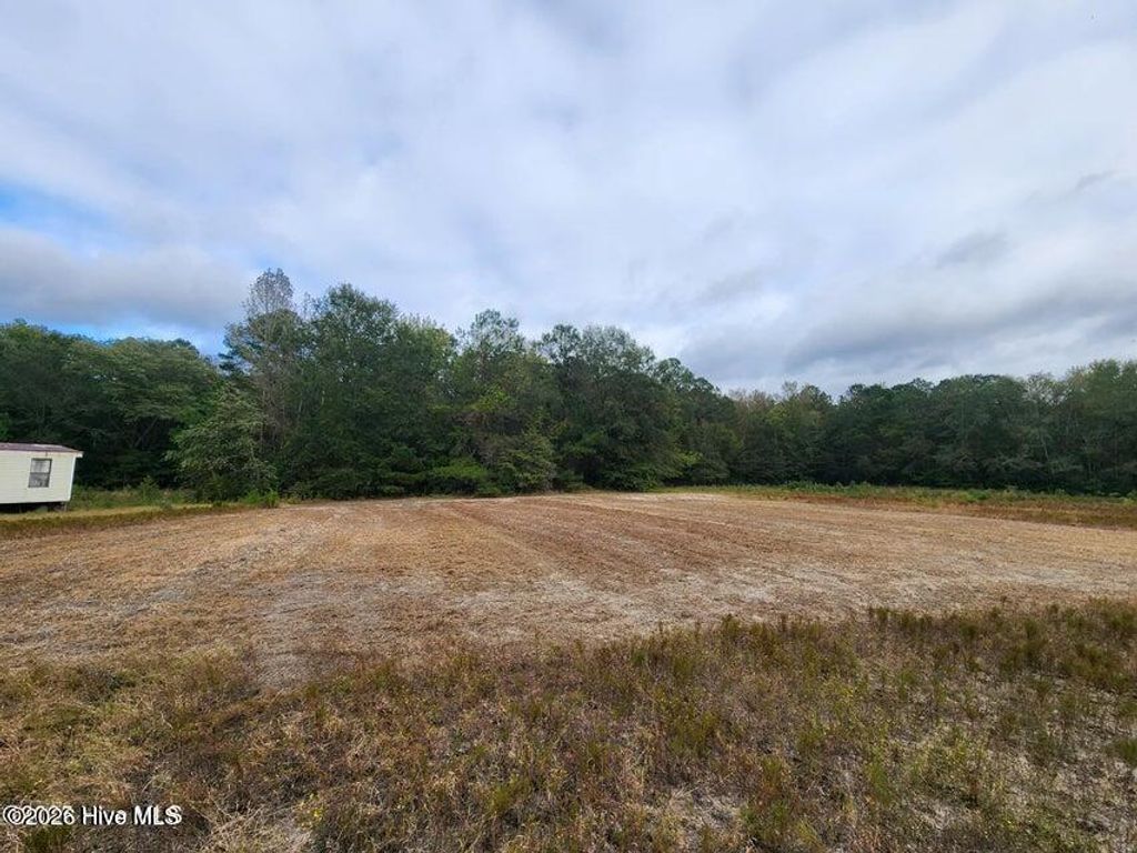 Photo of 0 N Carolina 210, Currie, NC 28435 (MLS # 100574861)