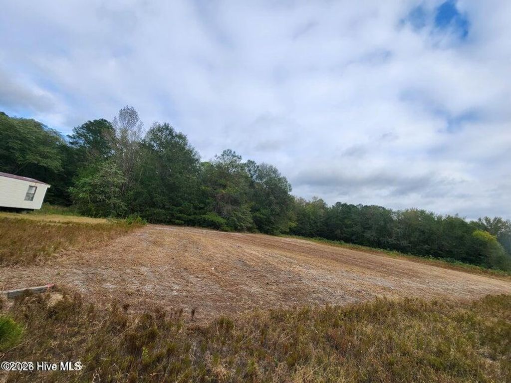 Photo of 0 N Carolina 210, Currie, NC 28435 (MLS # 100574861)