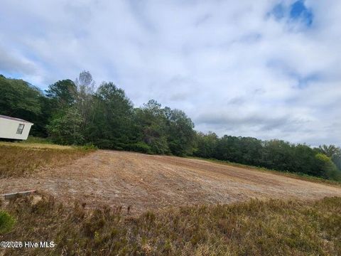 Tiny photo for 0 N Carolina 210, Currie, NC 28435 (MLS # 100574861)