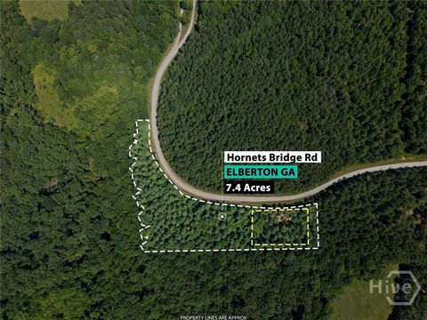 Vacant Land For Sale - Hornets Bridge Road<br/> Elberton, GA 30635