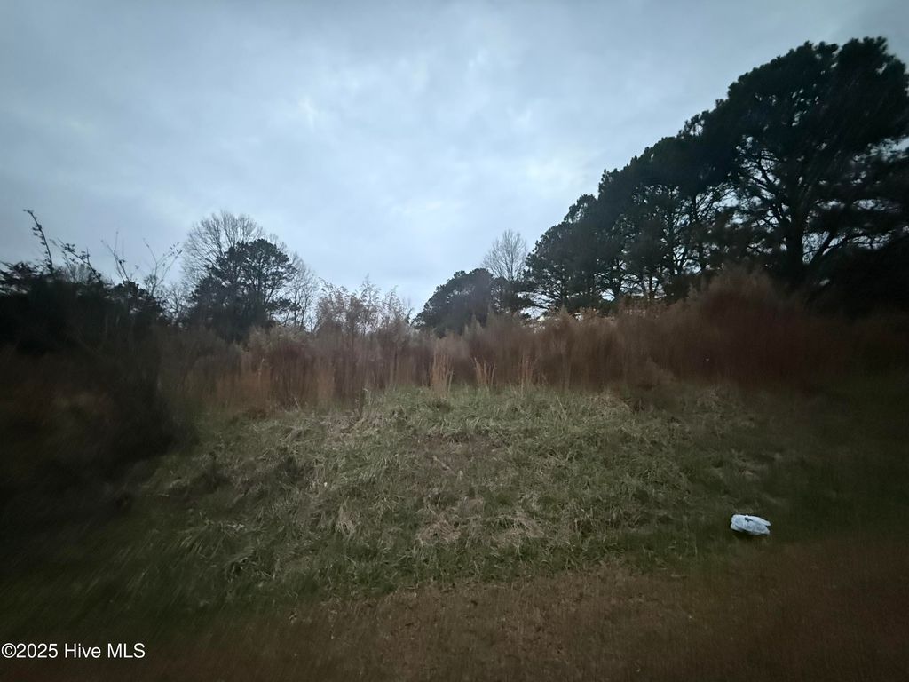 Photo of 18 Hodges Road, Franklinton, NC 27525 (MLS # 100546195)