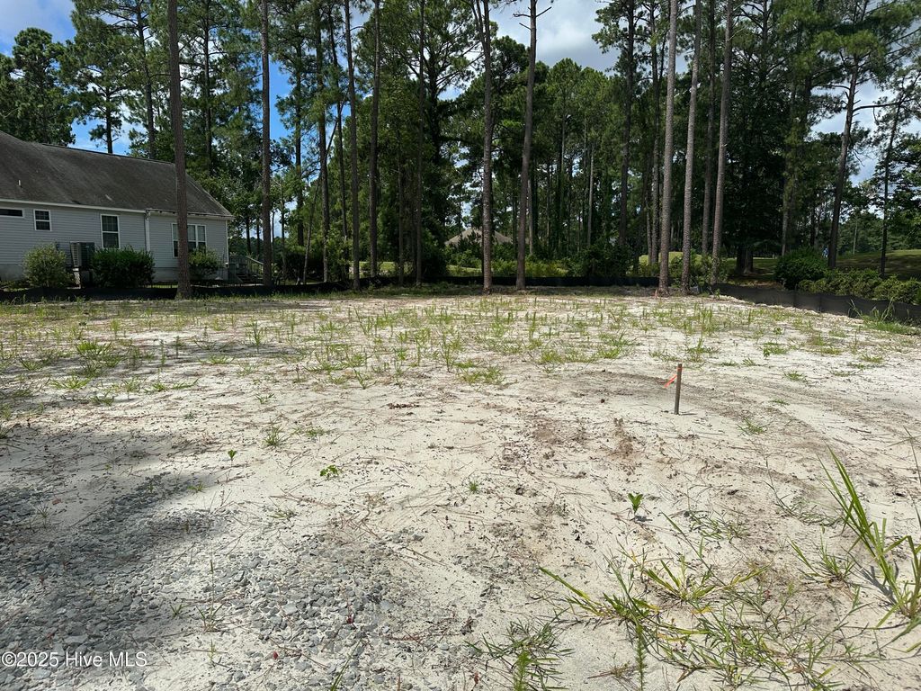 Photo of 2072 Royal Pines Drive, New Bern, NC 28560 (MLS # 100521209)