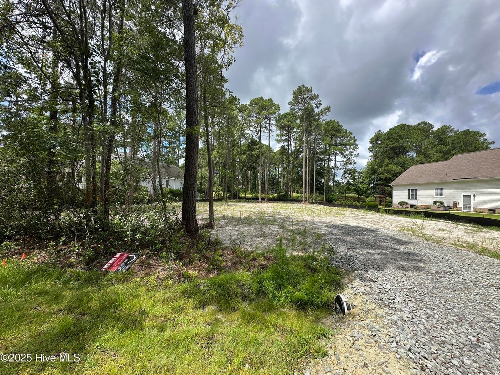 Photo of 2072 Royal Pines Drive, New Bern, NC 28560 (MLS # 100521209)
