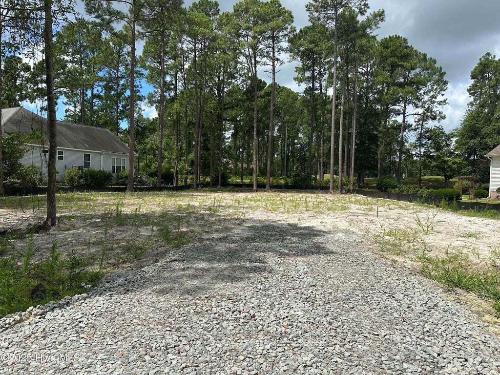Photo of 2072 Royal Pines Drive, New Bern, NC 28560 (MLS # 100521209)