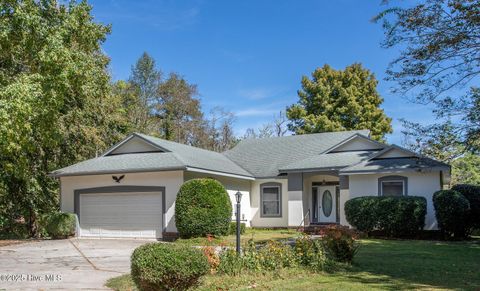 Photo of 163 Middleton Drive, Hertford, NC 27944 (MLS # 100567604)