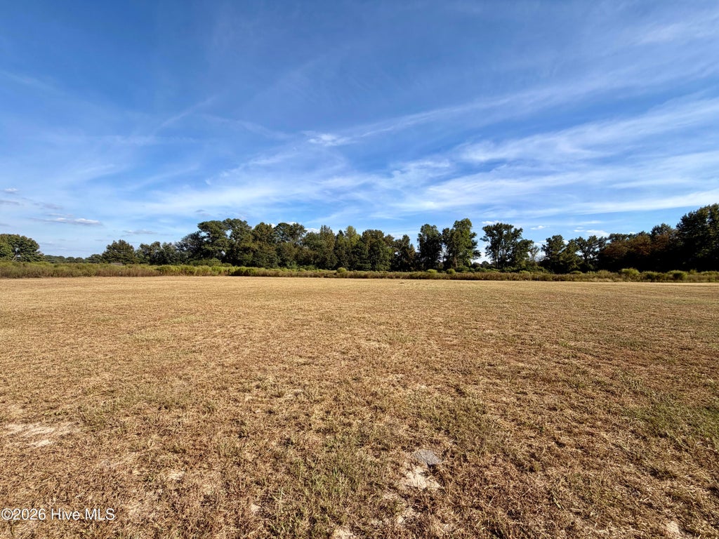 Photo of 730 Daughtry Town Road, Clinton, NC 28328 (MLS # 100607678)
