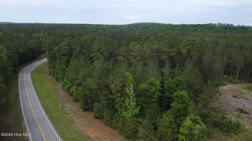 Photo of 0 Cartledge Creek Road, Rockingham, NC 28379 (MLS # 100573245)