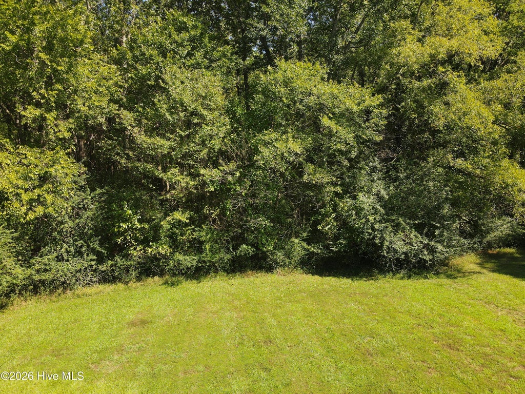 Photo of Tbd Moore Land West, Jackson, NC 27845 (MLS # 100607272)