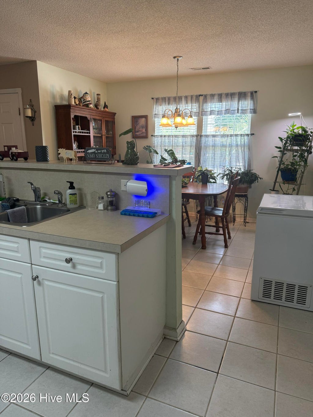 Photo of 411 Brewster Lane, Wilmington, NC 28412 (MLS # 100591053)