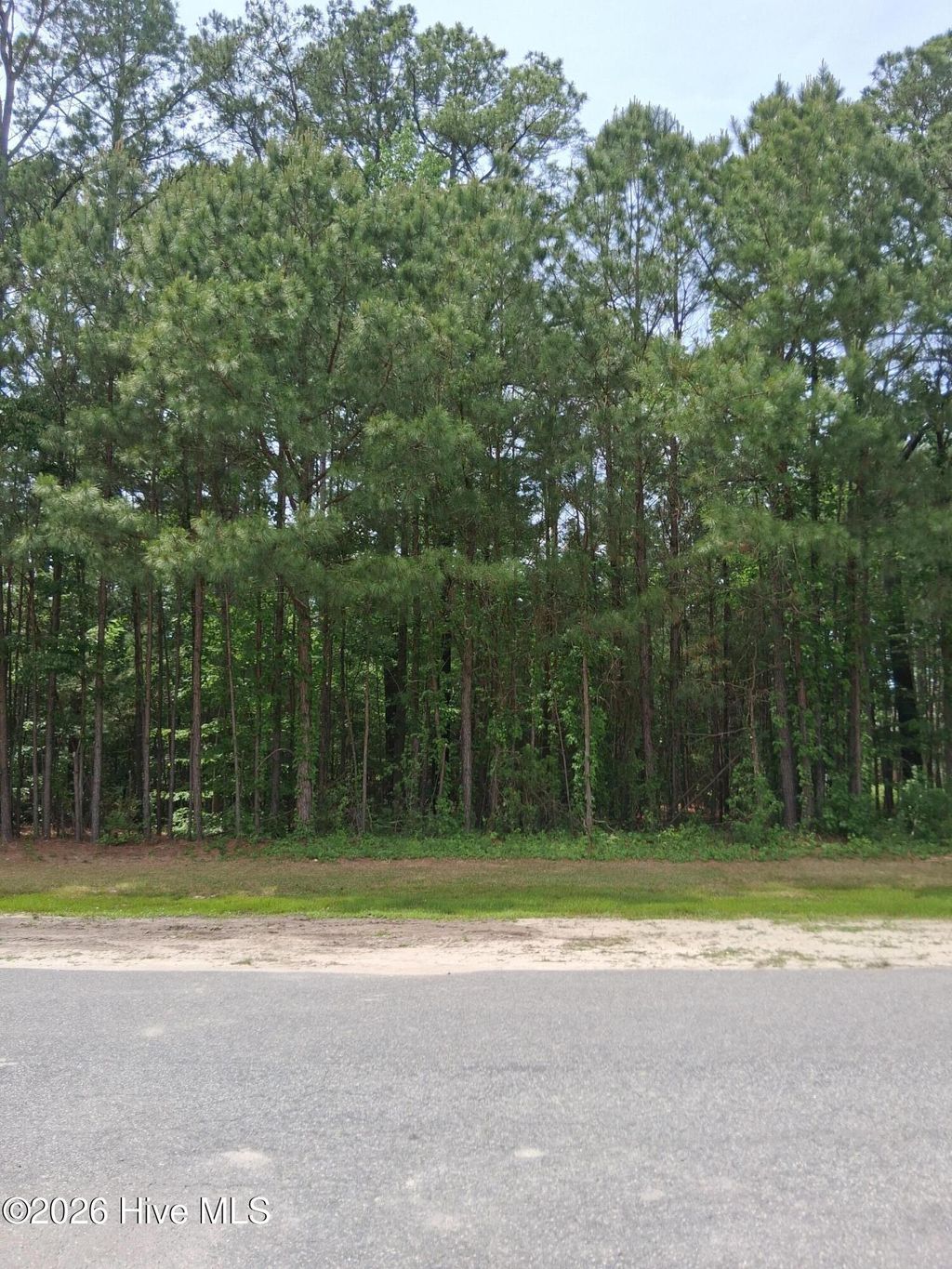 Photo of 17 Scuppernong River Drive, Hertford, NC (MLS # 100572752)