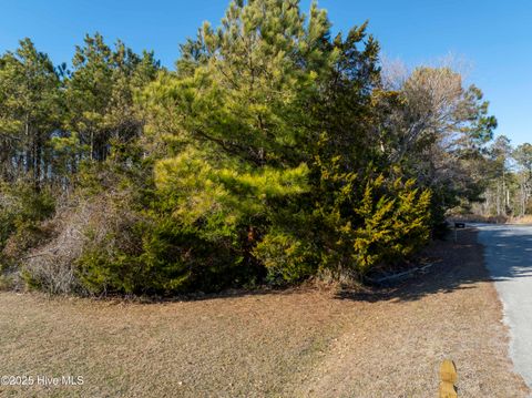 Tiny photo for 100 Singleton Street, Sneads Ferry, NC 28460 (MLS # 100554512)