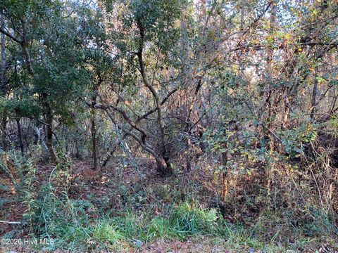 Vacant Land For Sale - 255 Wards Lane<br/> Havelock, NC 28532