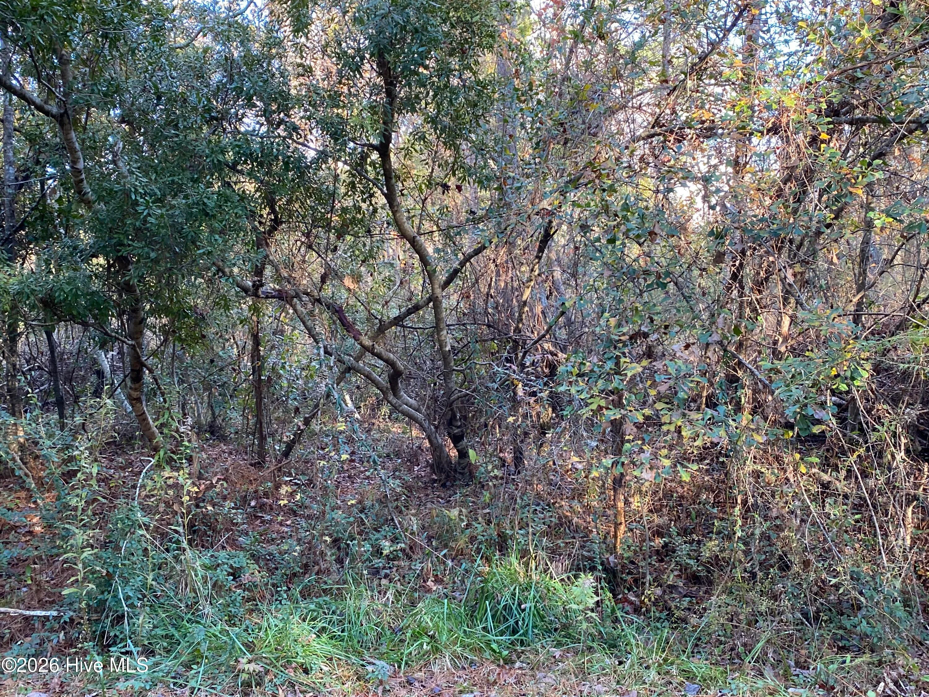 255 Wards Lane