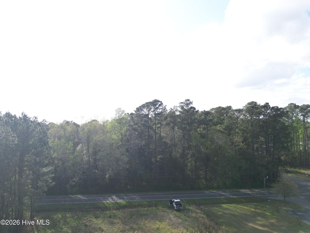 Photo of 559 N Timberly Lane, Burgaw, NC 28425 (MLS # 100563662)