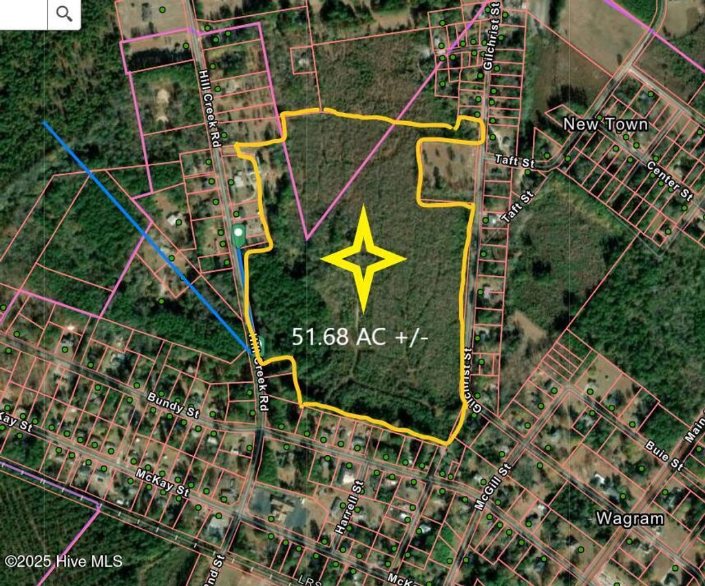 Photo of Tbd Hillcreek Road, Wagram, NC 28396 (MLS # 100545715)