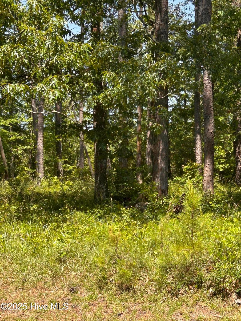 Photo of 135 Martin Creek Drive, Beaufort, NC 28516 (MLS # 100508965)