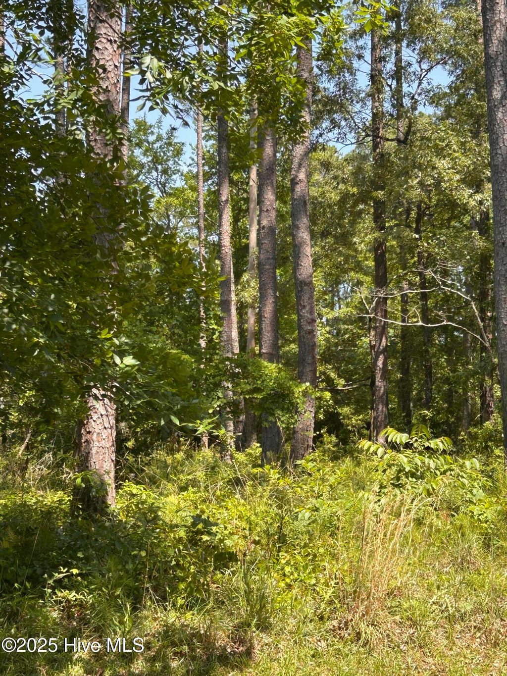 Photo of 135 Martin Creek Drive, Beaufort, NC 28516 (MLS # 100508965)