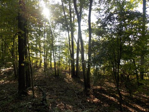 Vacant Land For Sale - 59 Westwind Harbour Rd<br/> Lincolnton, GA 30817