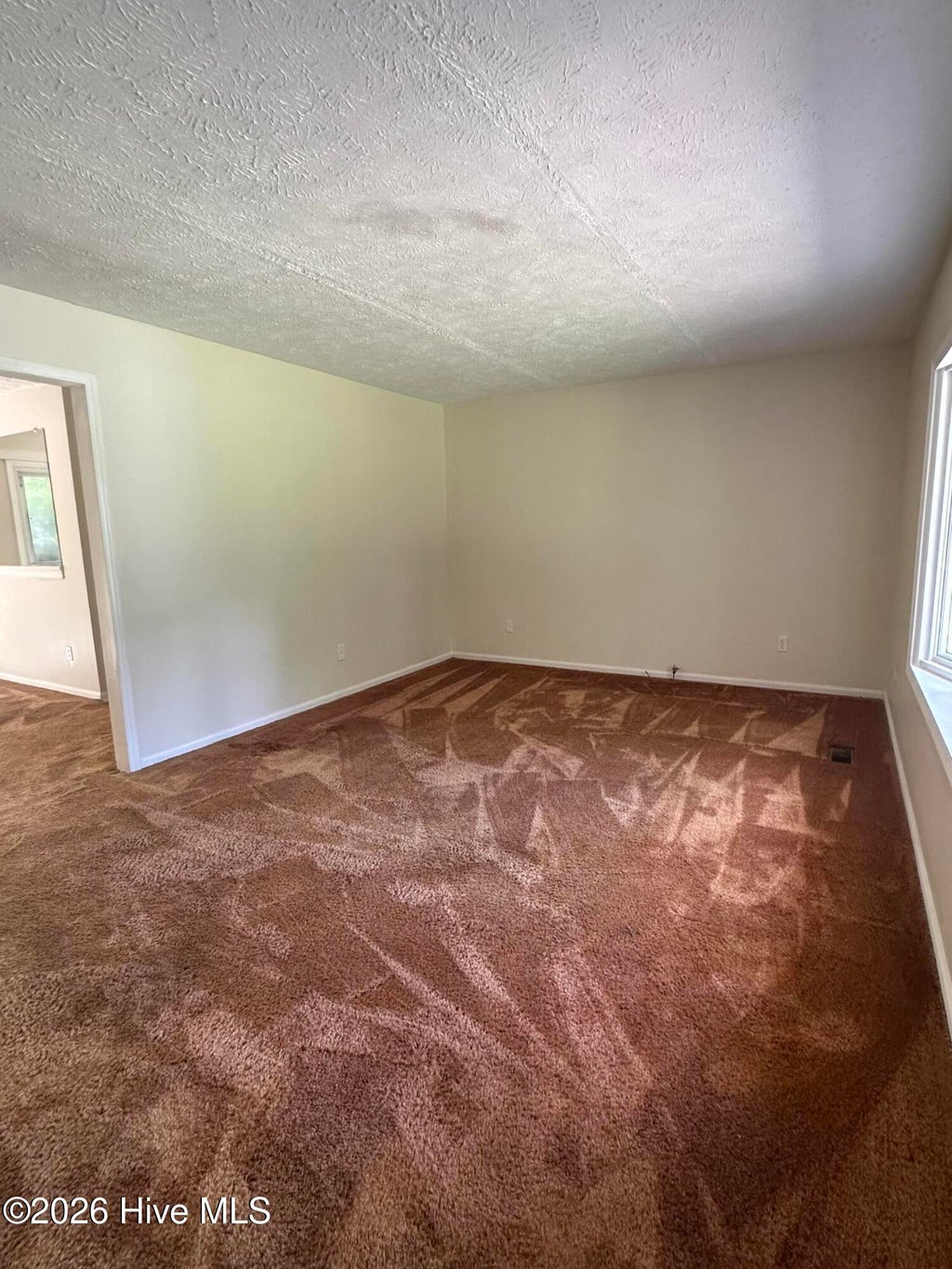 Photo of 371 Mill Quarters Road, Hallsboro, NC 28442 (MLS # 100600855)
