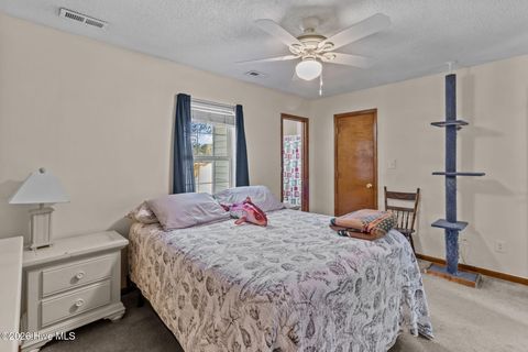 Tiny photo for 434 Oregon Trail, Hubert, NC 28539 (MLS # 100563206)