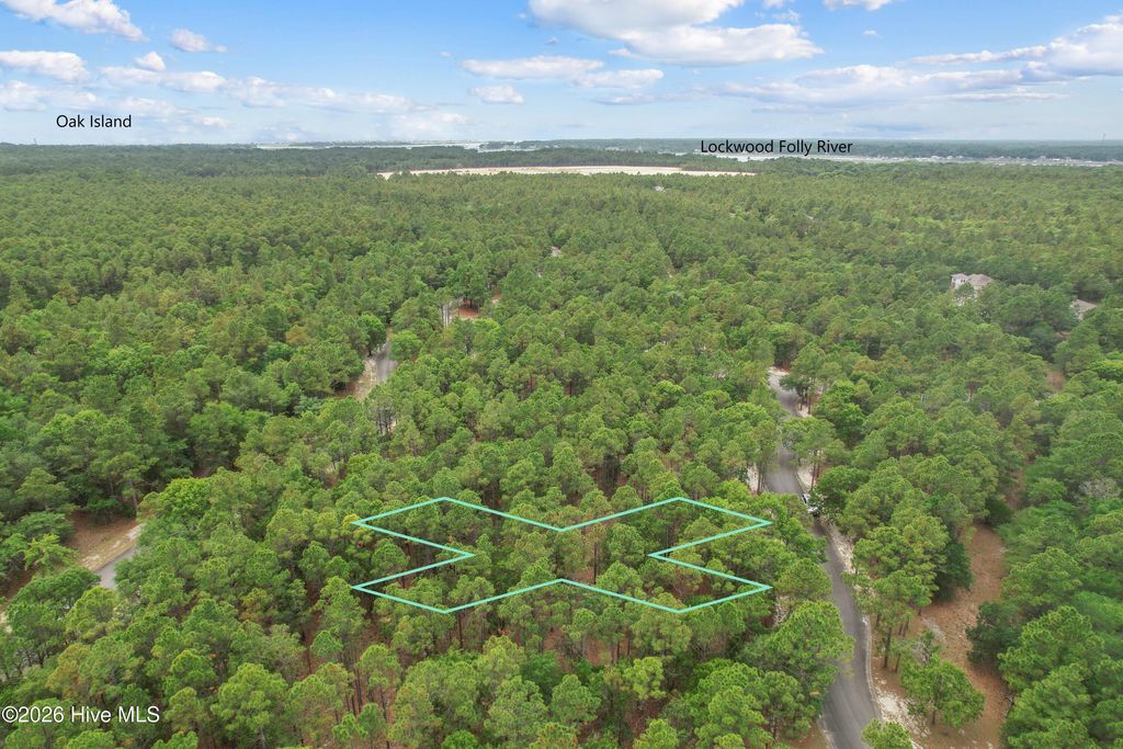 Photo of 625 Barbosa Place SE, Bolivia, NC 28422 (MLS # 100580531)
